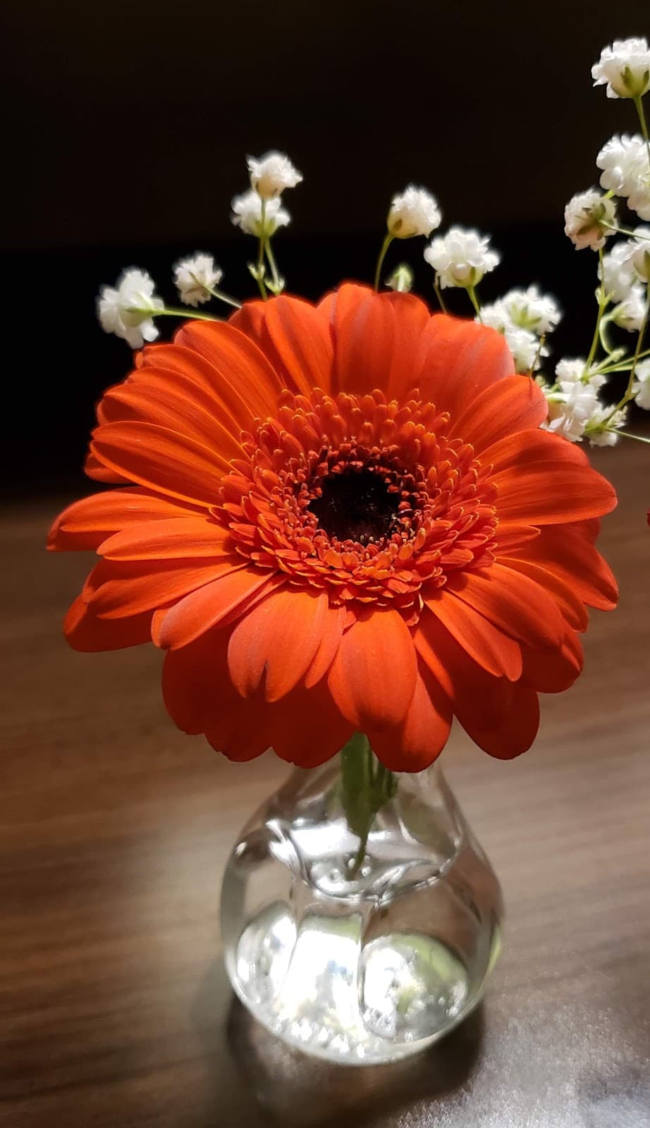 Graves Green Thumb Nursery - Image 1