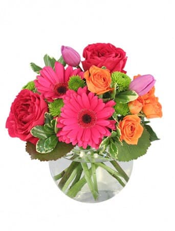 Buckingham Florist - Image 1