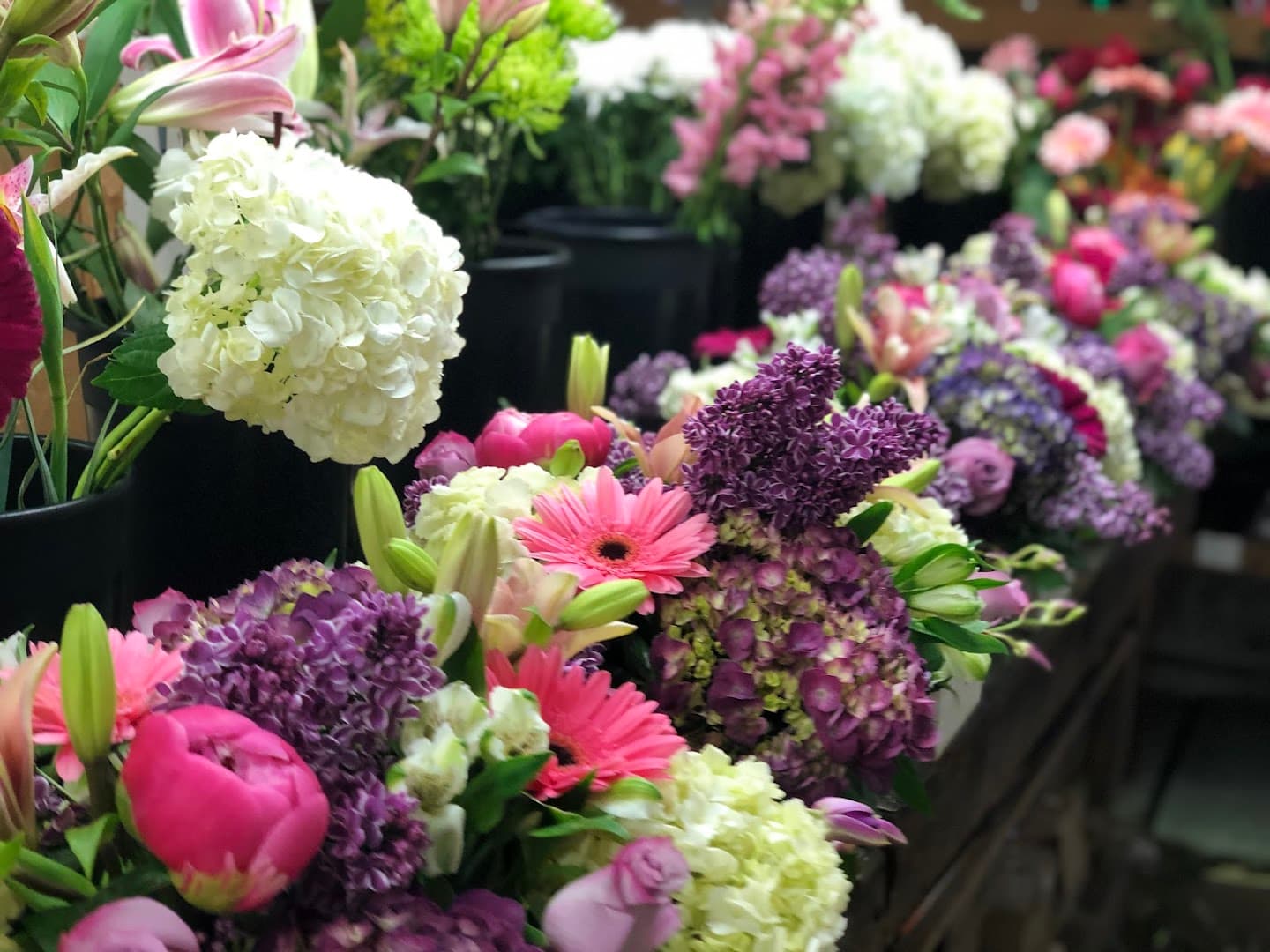 Bassett Flowers - Image 1