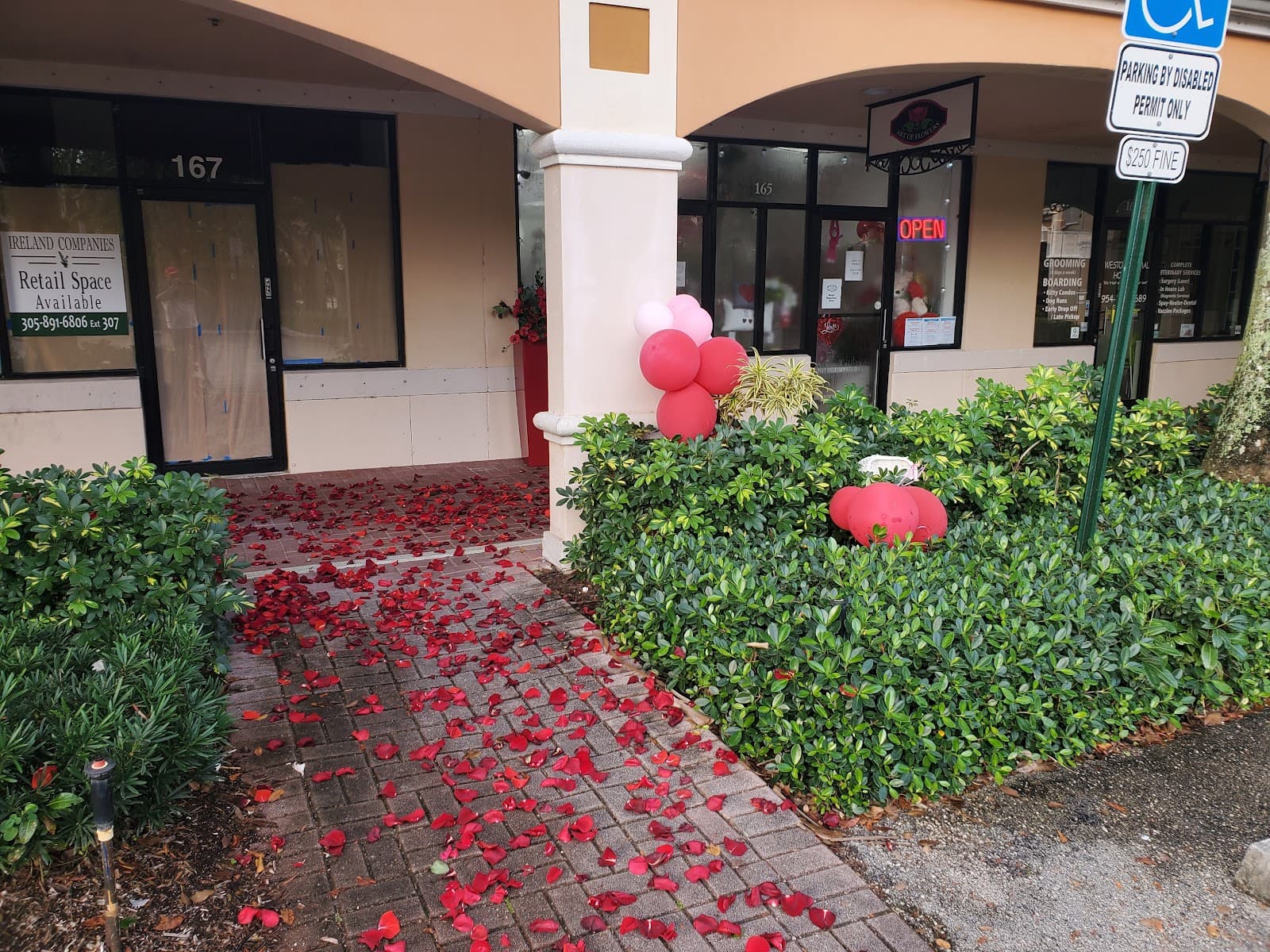 Art of Flowers - Image 1