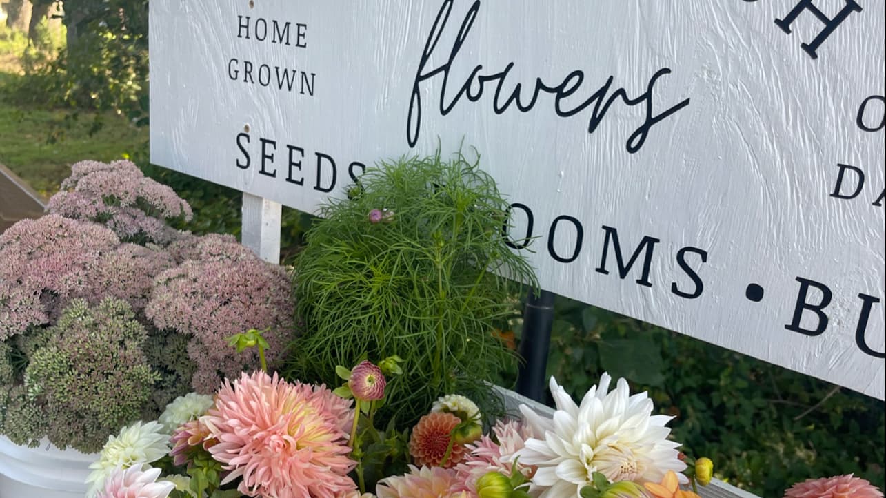 Bits & Blooms Flower Farm - Image 1