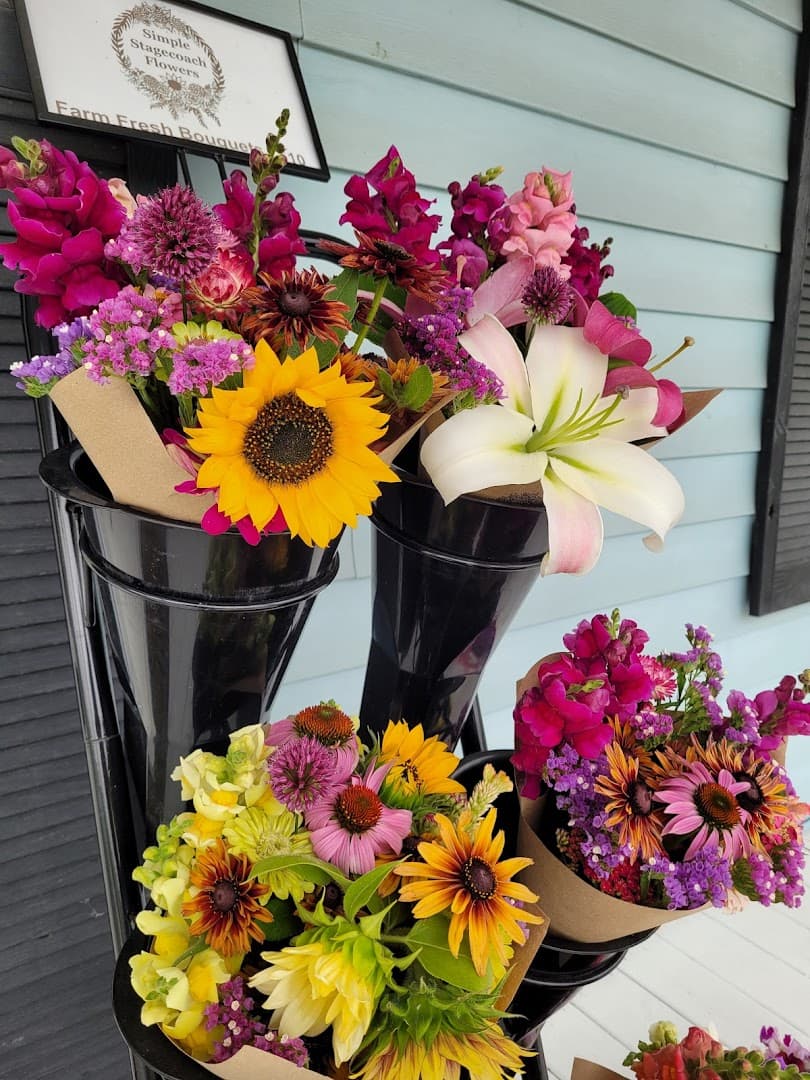 Simple Stagecoach Flowers - Image 1