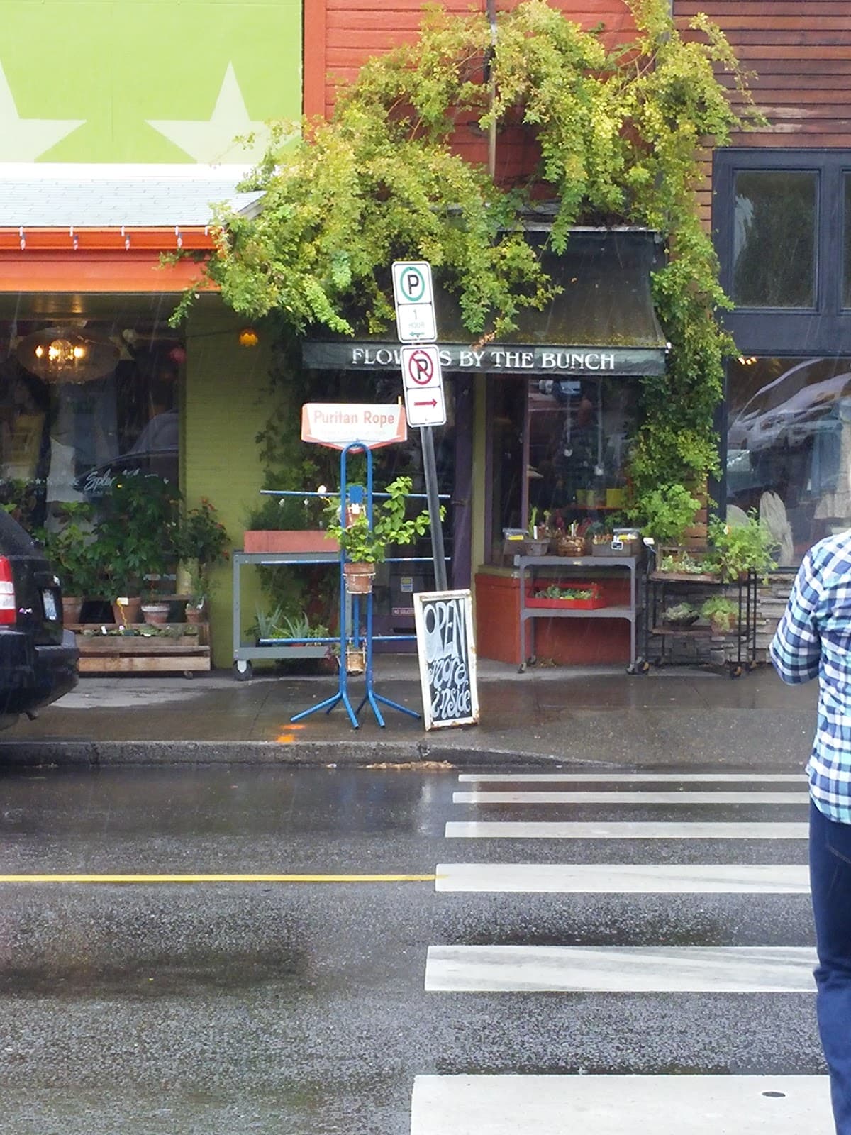 By the Bunch Floral Alchemy - Image 1