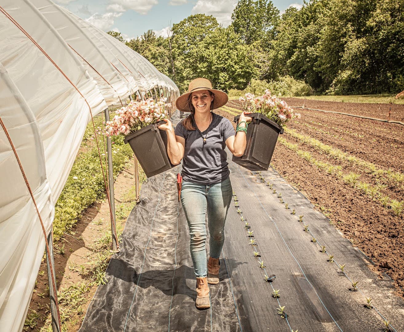 Robin Hollow Farm - Image 1