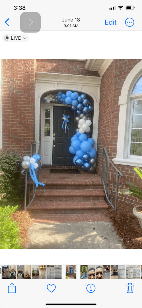 Balloons Arches & Flowers - Image 1