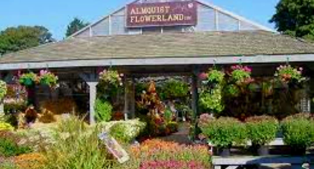 Almquist Flowerland - Image 1
