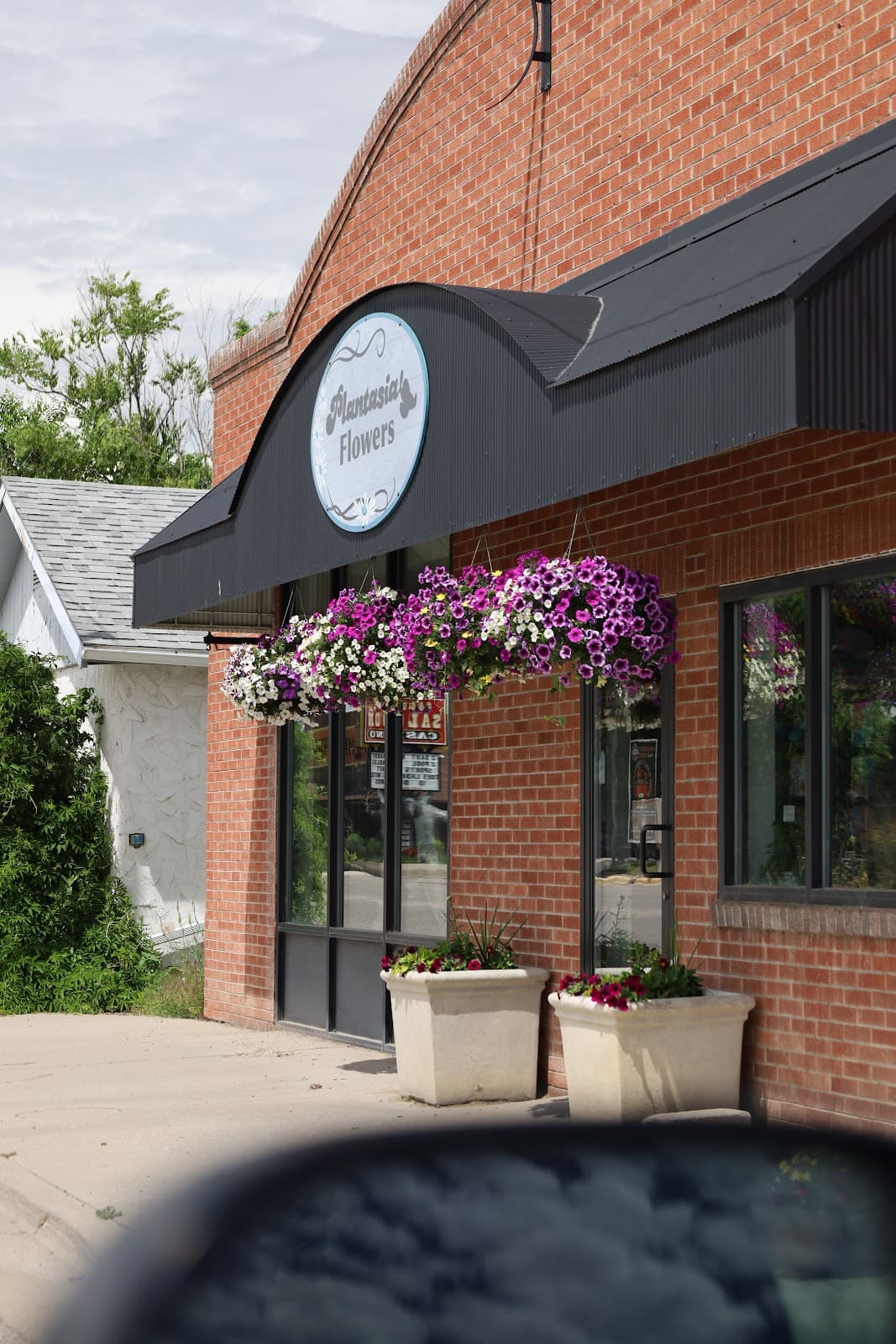 PLANTASIA FLOWERS - Image 1