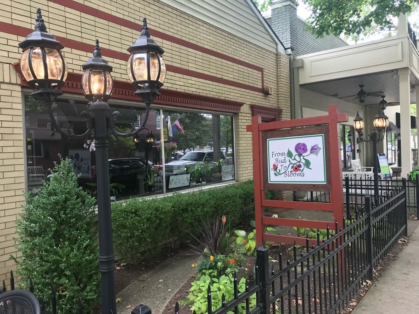 From Bud To Blooms - Image 1