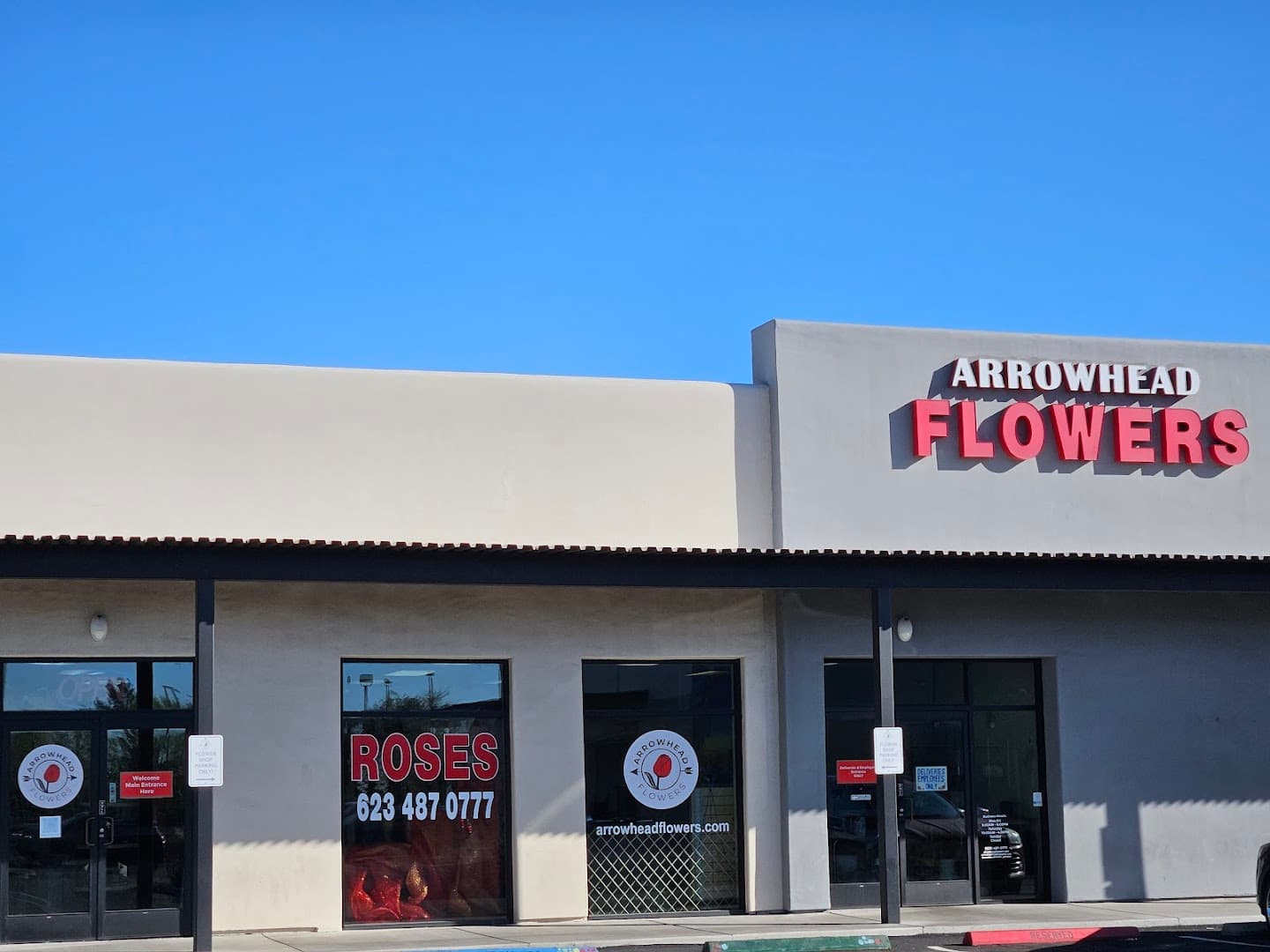 Arrowhead Flowers - Image 1