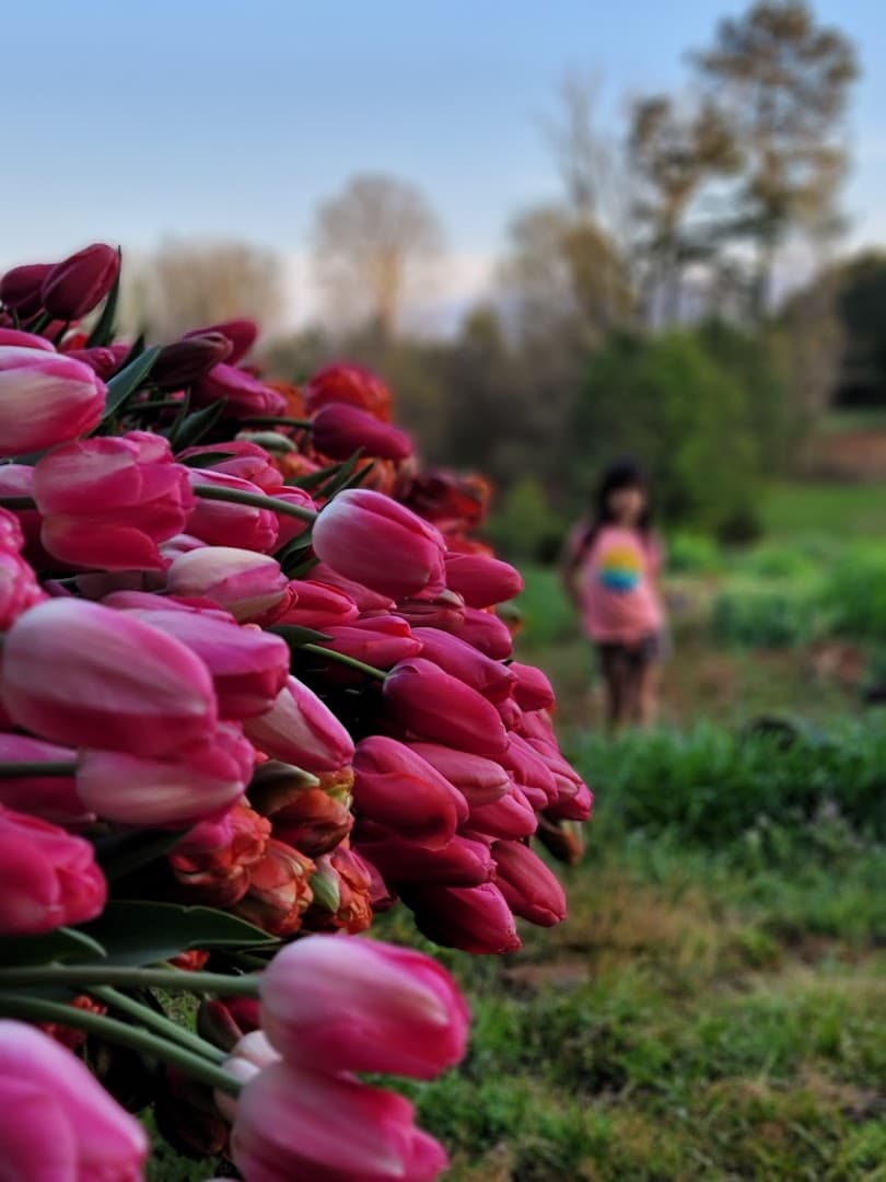 Shoomee's Flower Farm - Image 1