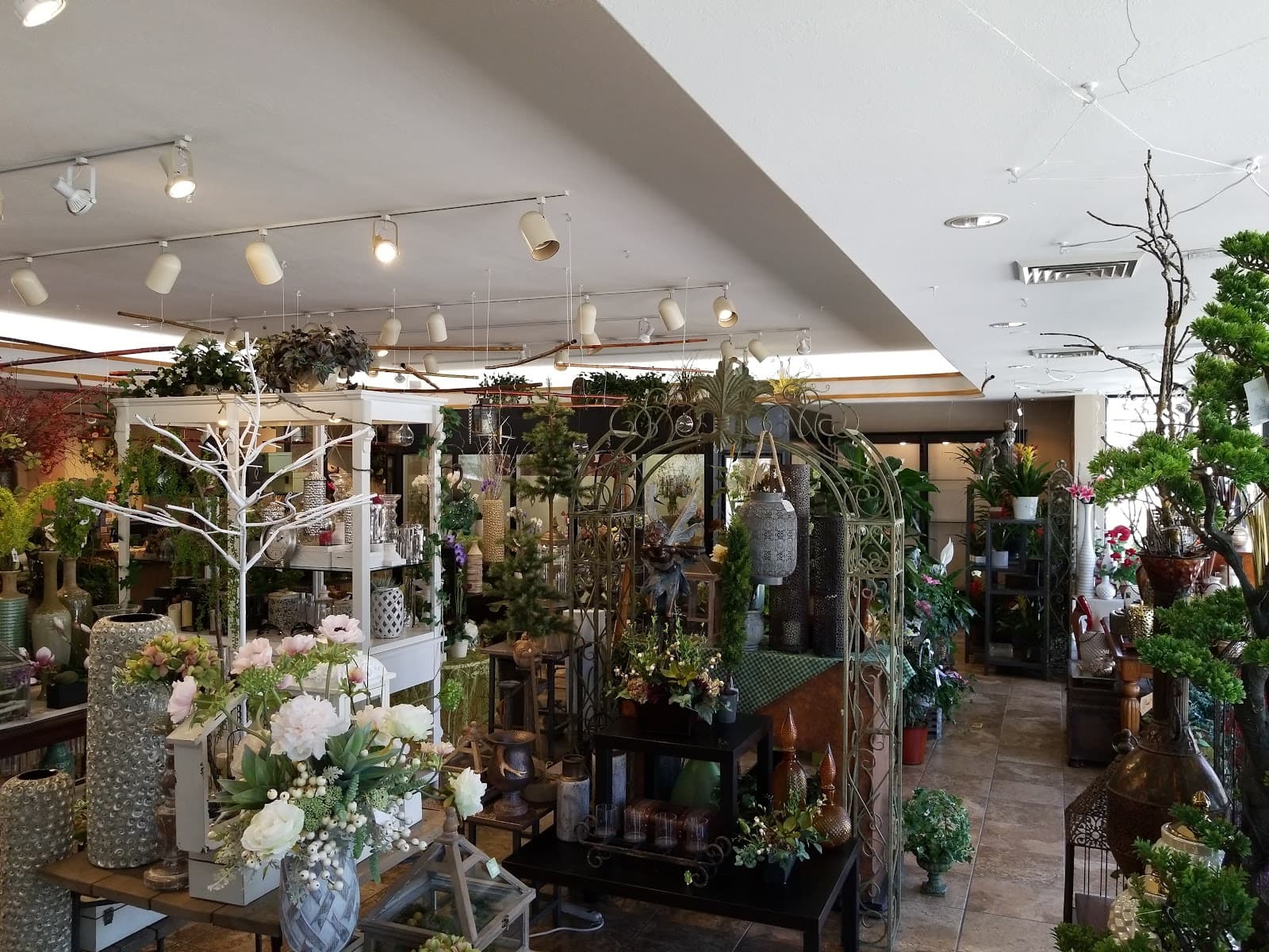 Jimmy's Flowers - Image 1