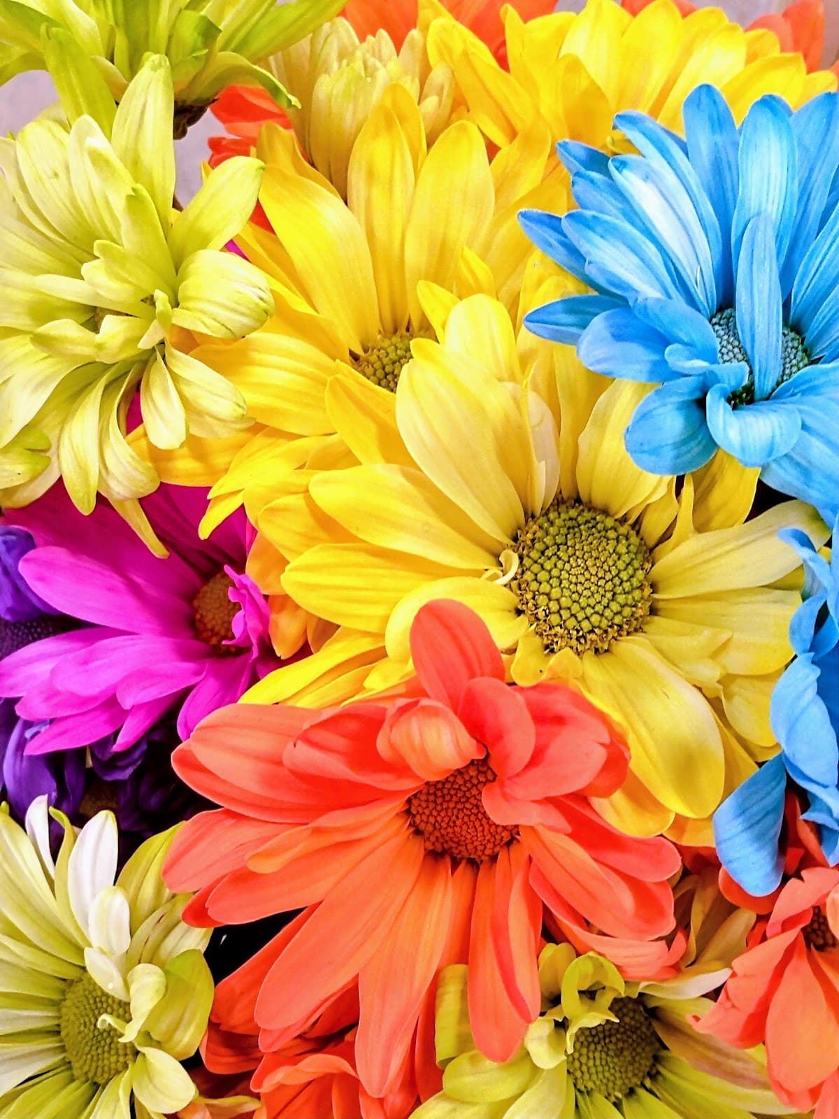 Albertsons Floral - Image 1