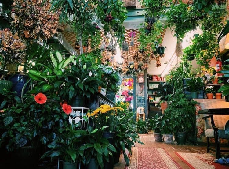 The Mystic Florist Shop - Image 1