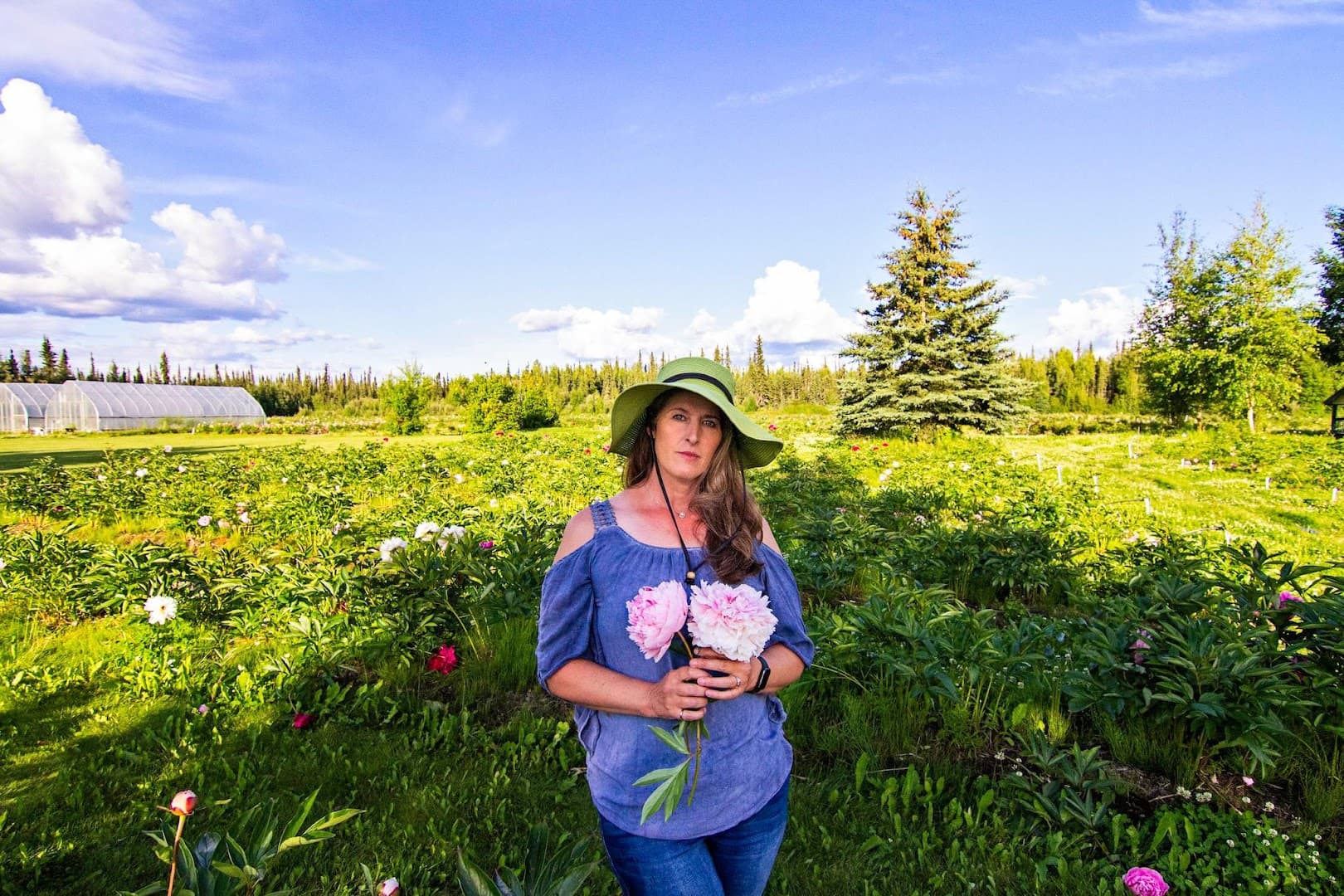 North Pole Peonies - Image 1