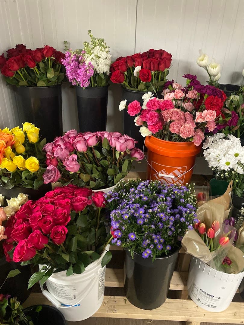 Bloom Fields Floral - Image 1