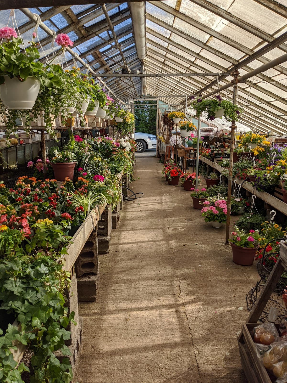 Bartlett's Florist - Image 1