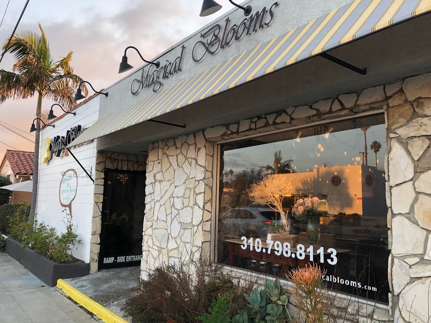 Jenny Barker The Flower Doctor Magical Blooms - Image 1