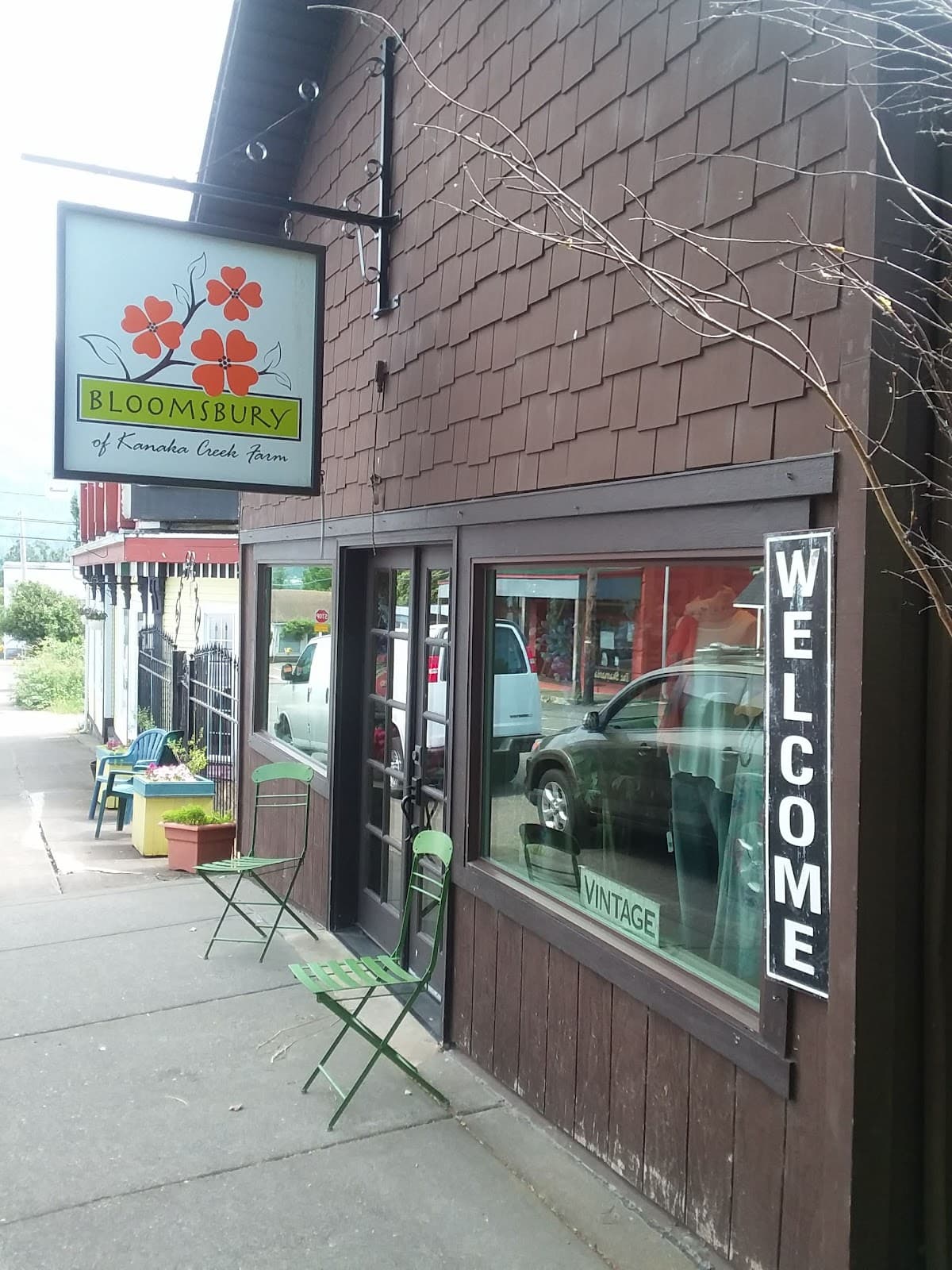 Bloomsbury of Kanaka Creek Farm - Image 1