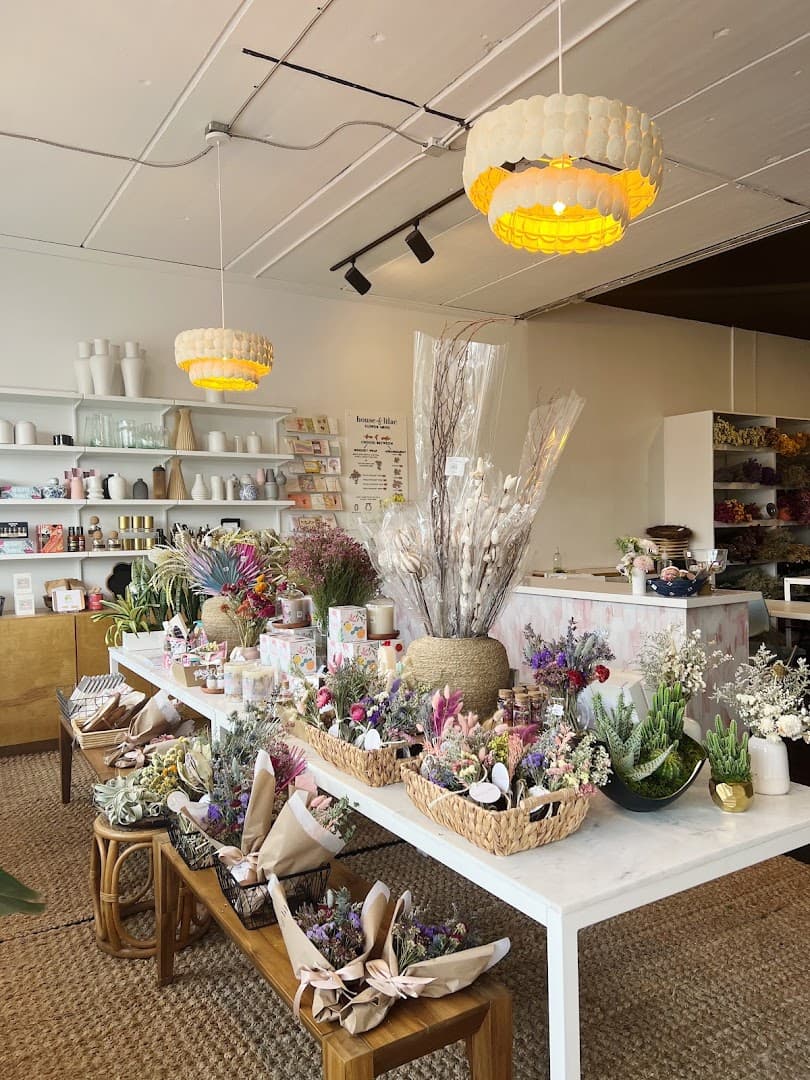 House of Lilac - Image 1