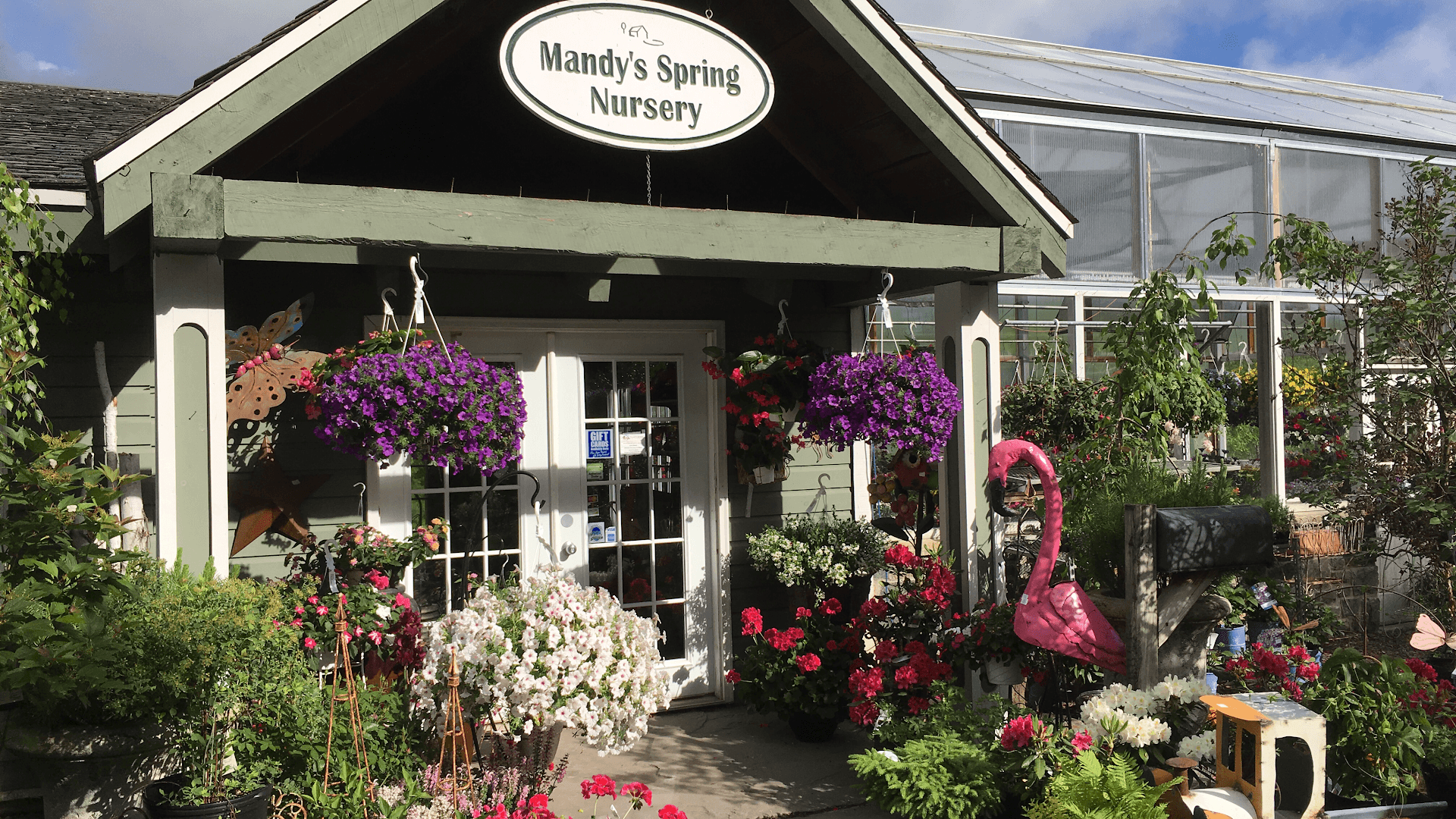 The Florist at Mandy's Spring Nursery - Image 1