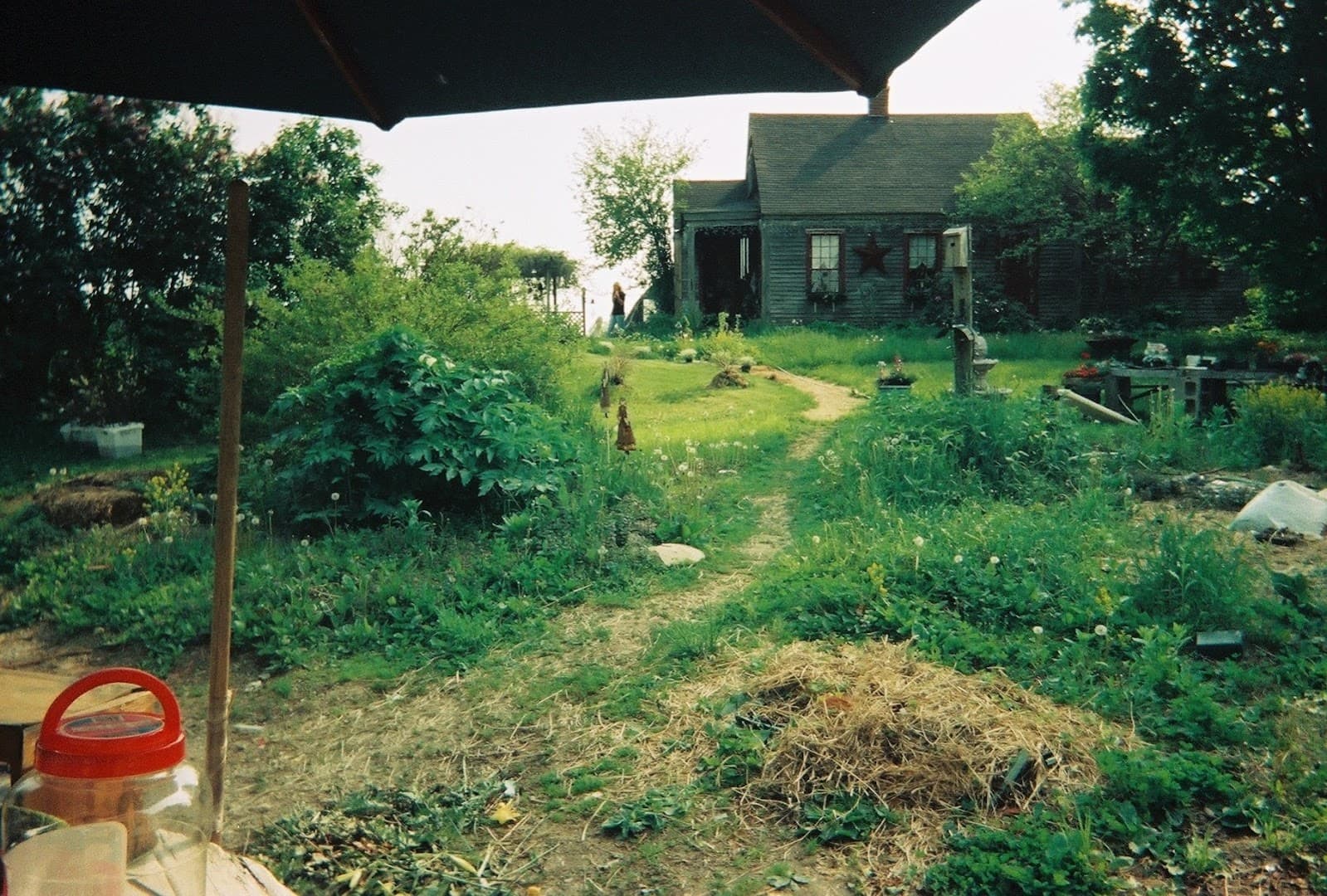 Greenleaf Farms - Image 1