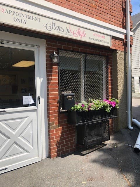 Stems in Style - Image 1