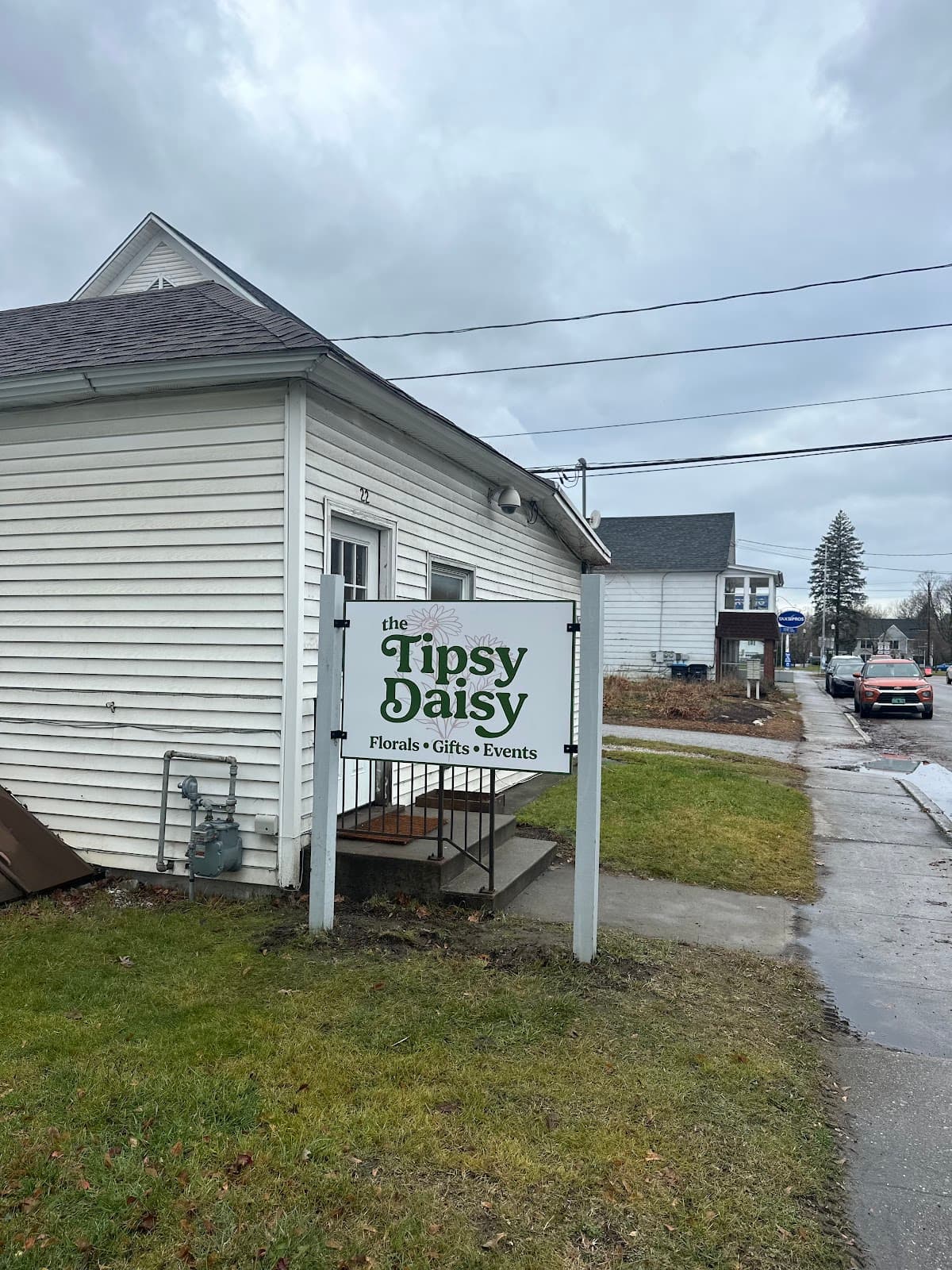 Tipsy Daisy - Image 1