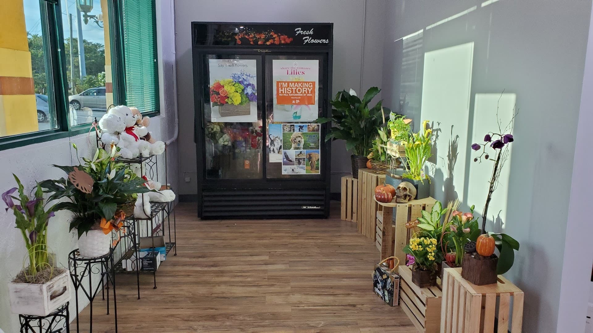 Hooray's From Hollywood Inc - Image 1