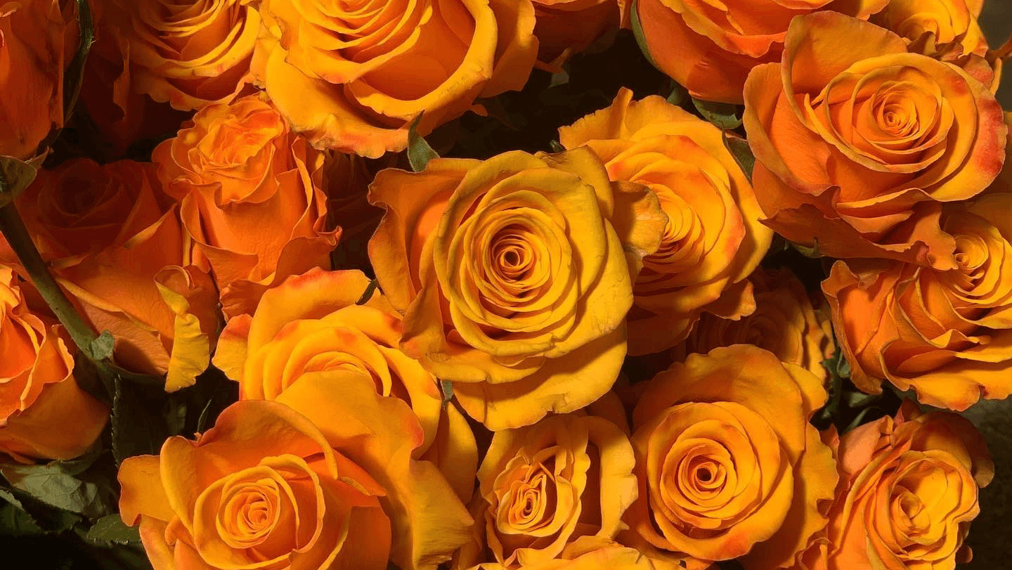 We Got Flowers - Image 1