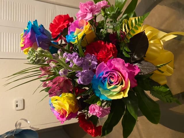 Twisted Branches Jacksonville Flrst Crp - Image 1