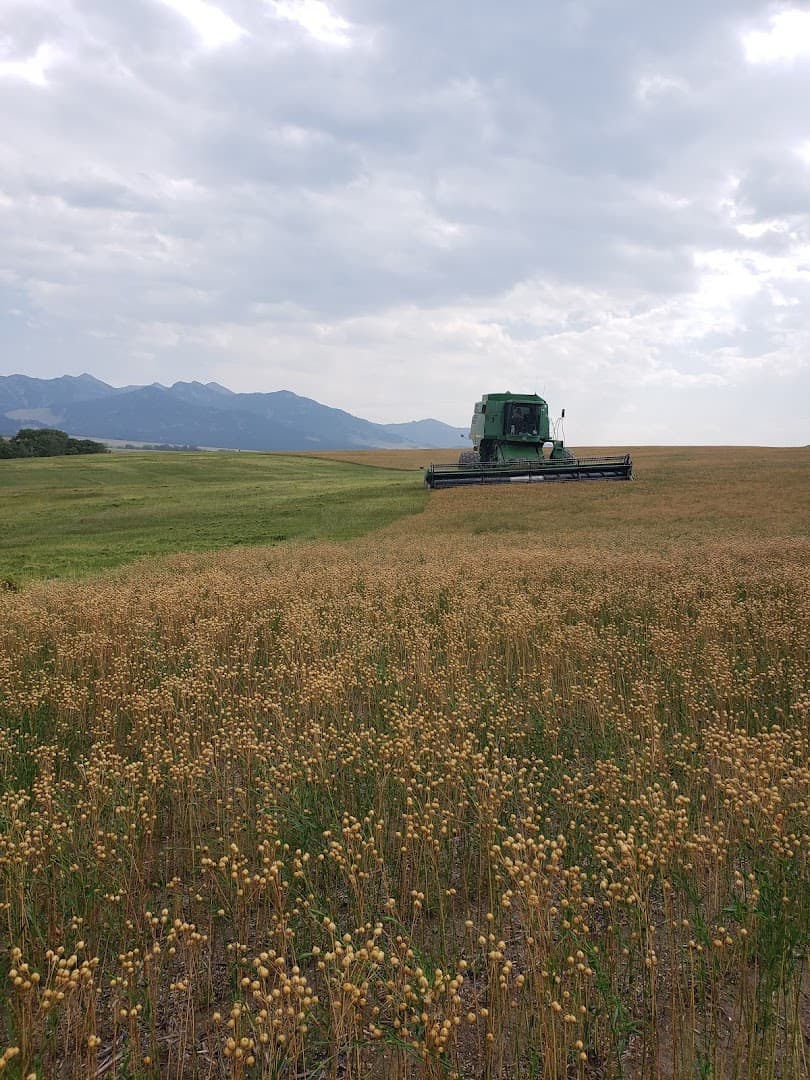 Highland Harmony Farm - Image 1