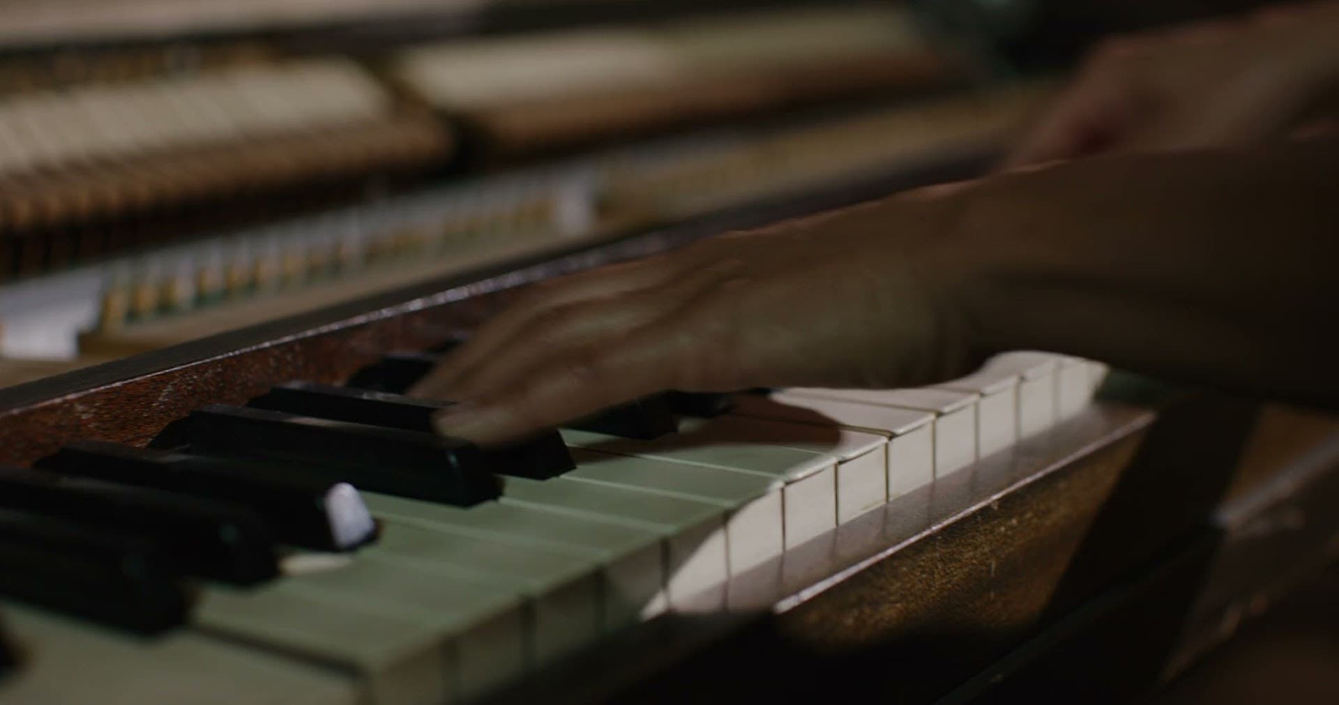 French Florist - Sonoma - Image 1