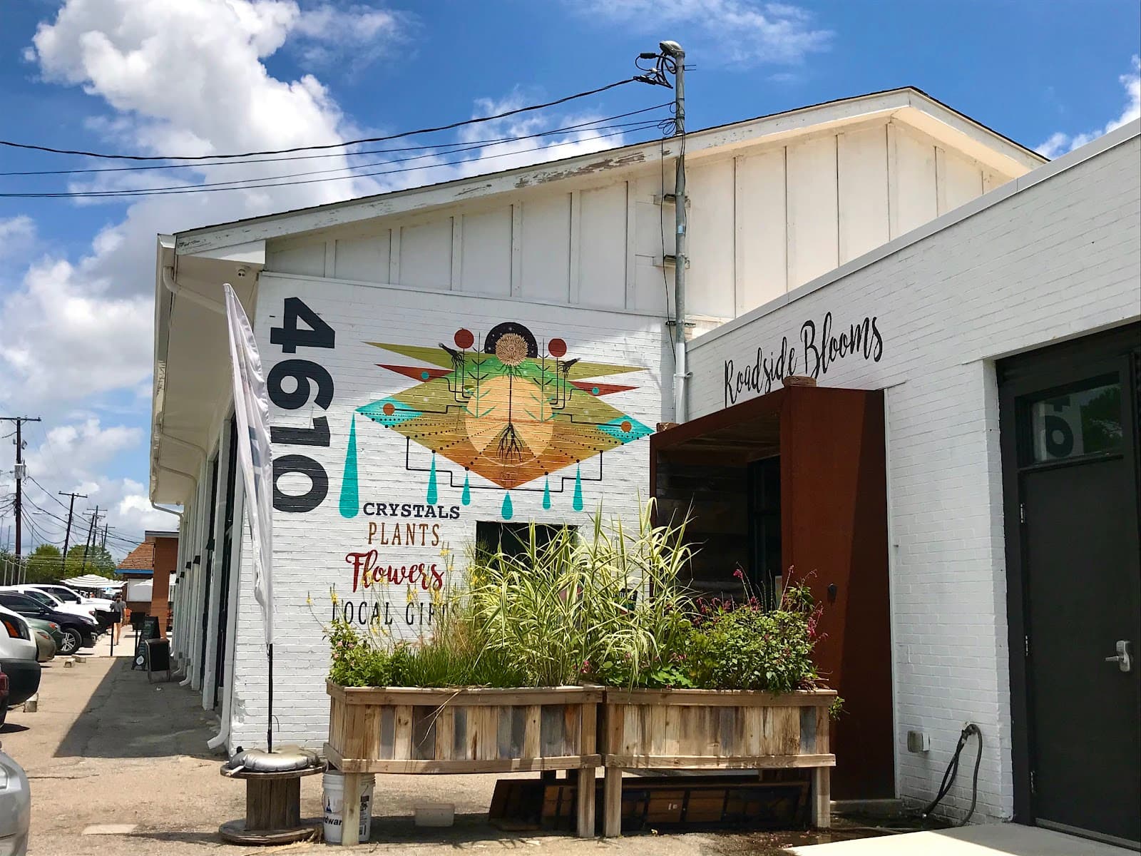 Roadside Blooms - Image 1