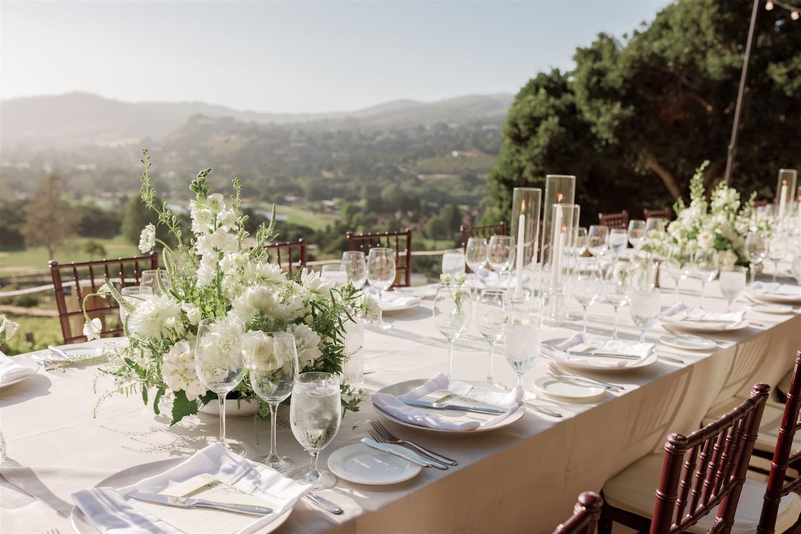 Dahlias & Details - Image 1