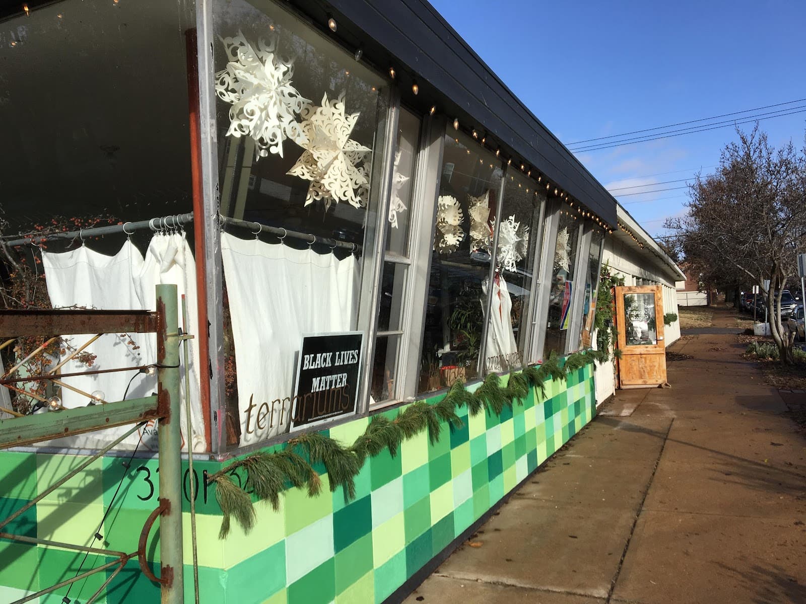 Flowers & Weeds - Image 1