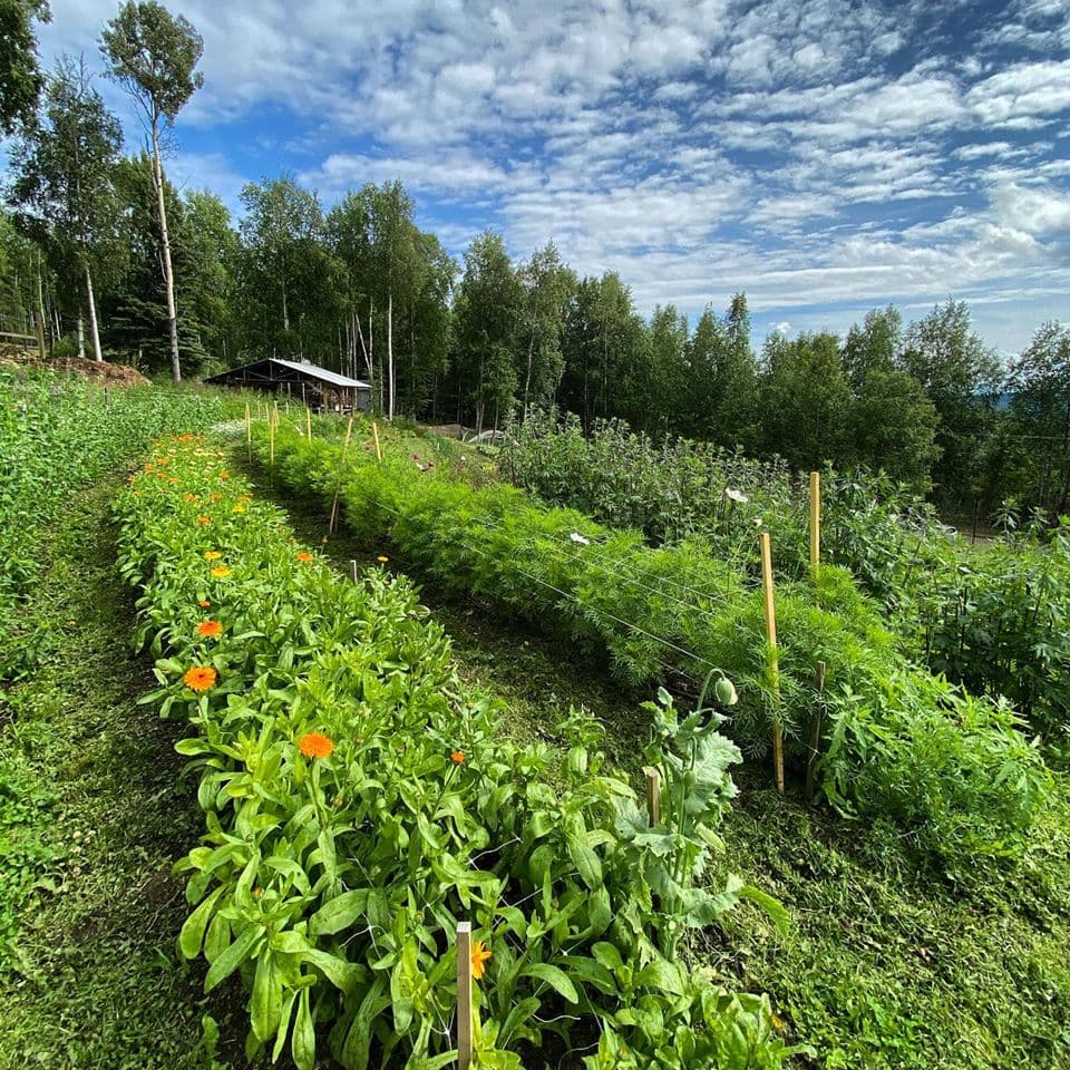 Calypso Farm and Ecology Center - Image 1