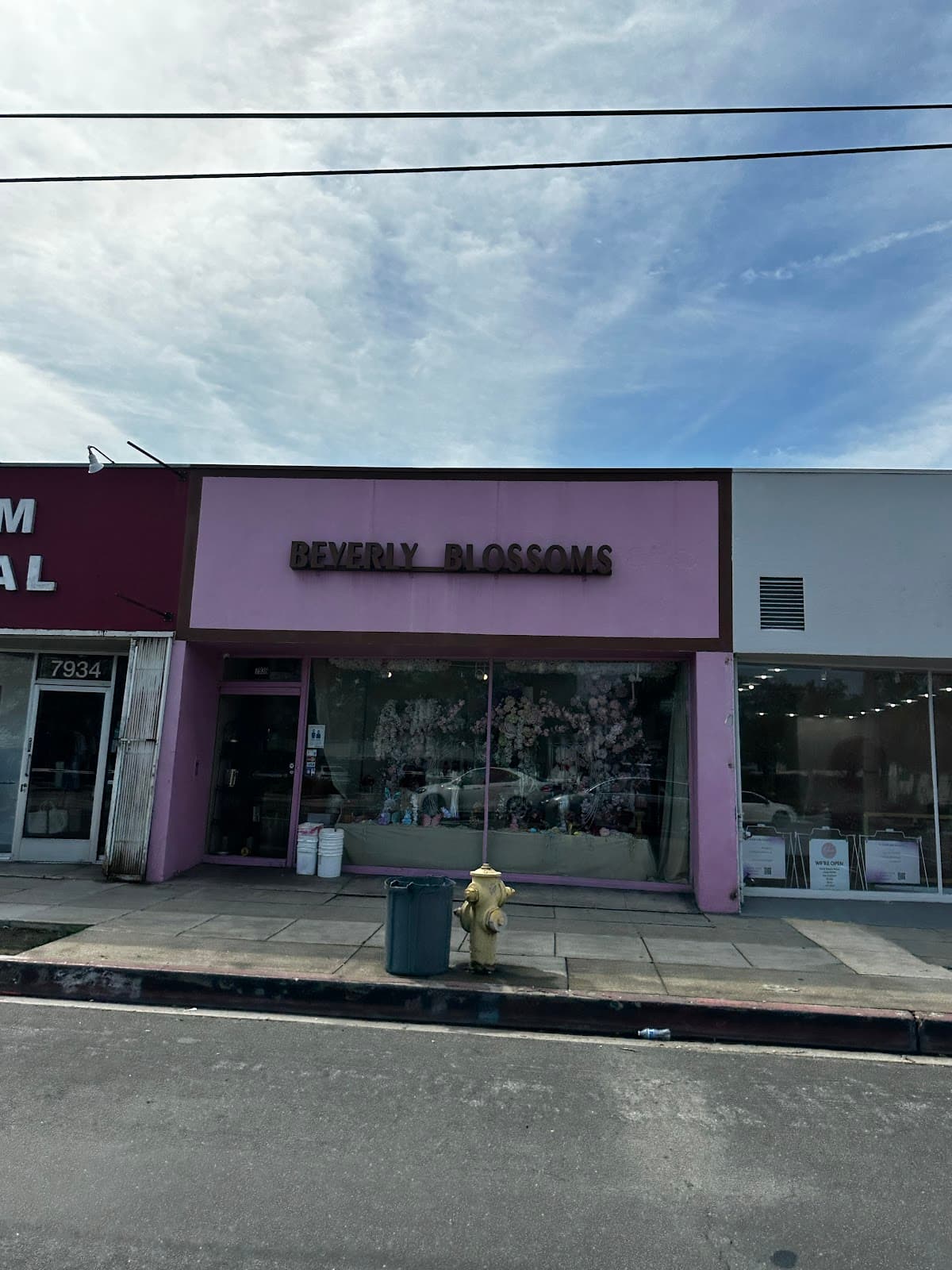 Beverly Blossoms - Image 1