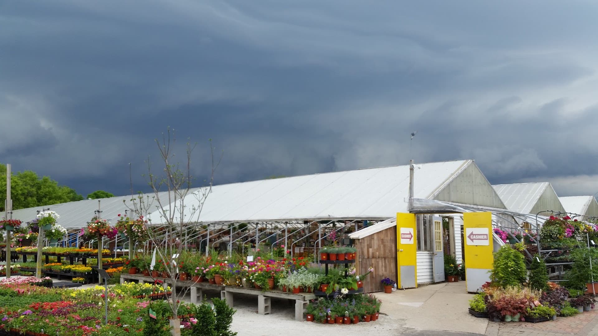 West End Florist & Garden Center - Image 1