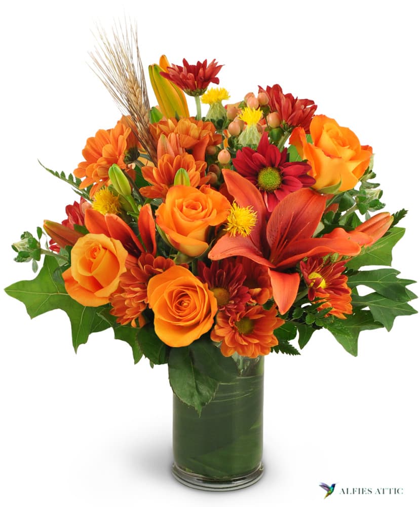 Alfies Attic - Image 1