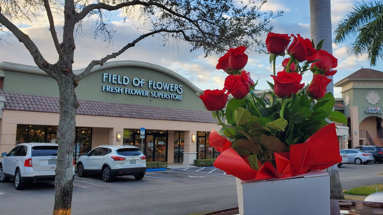 Field of Flowers - Image 1