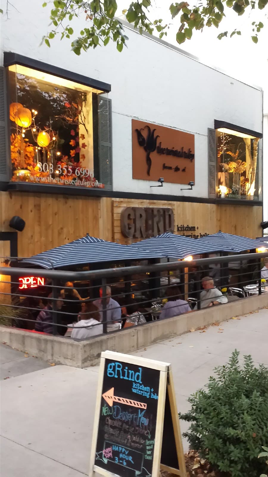 The Twisted Tulip - Image 1