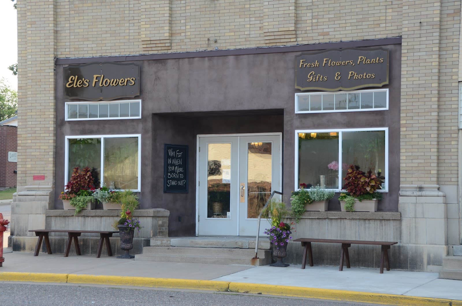 Ele's Flowers - Image 1