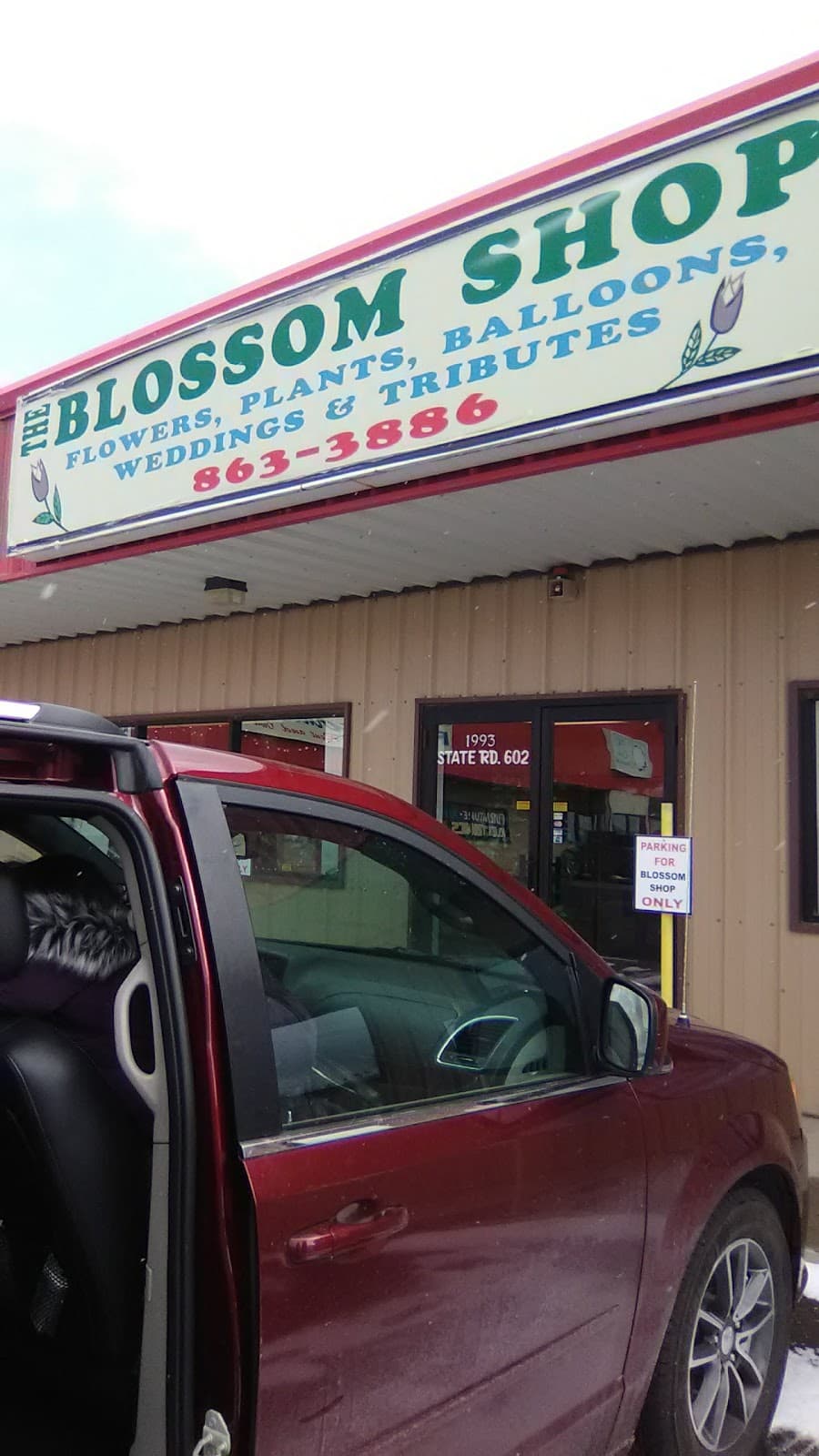 The Blossom Shop - Image 1