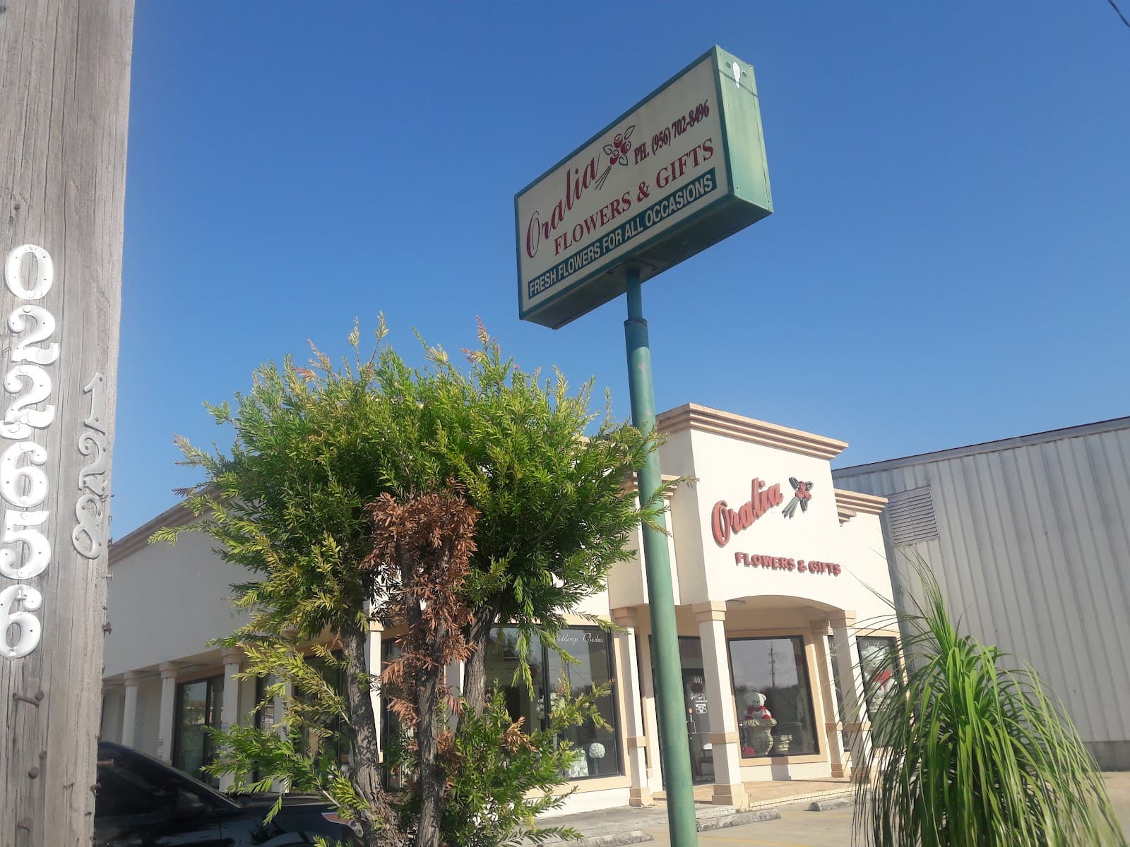 Oralia Flowers & Gifts - Image 1