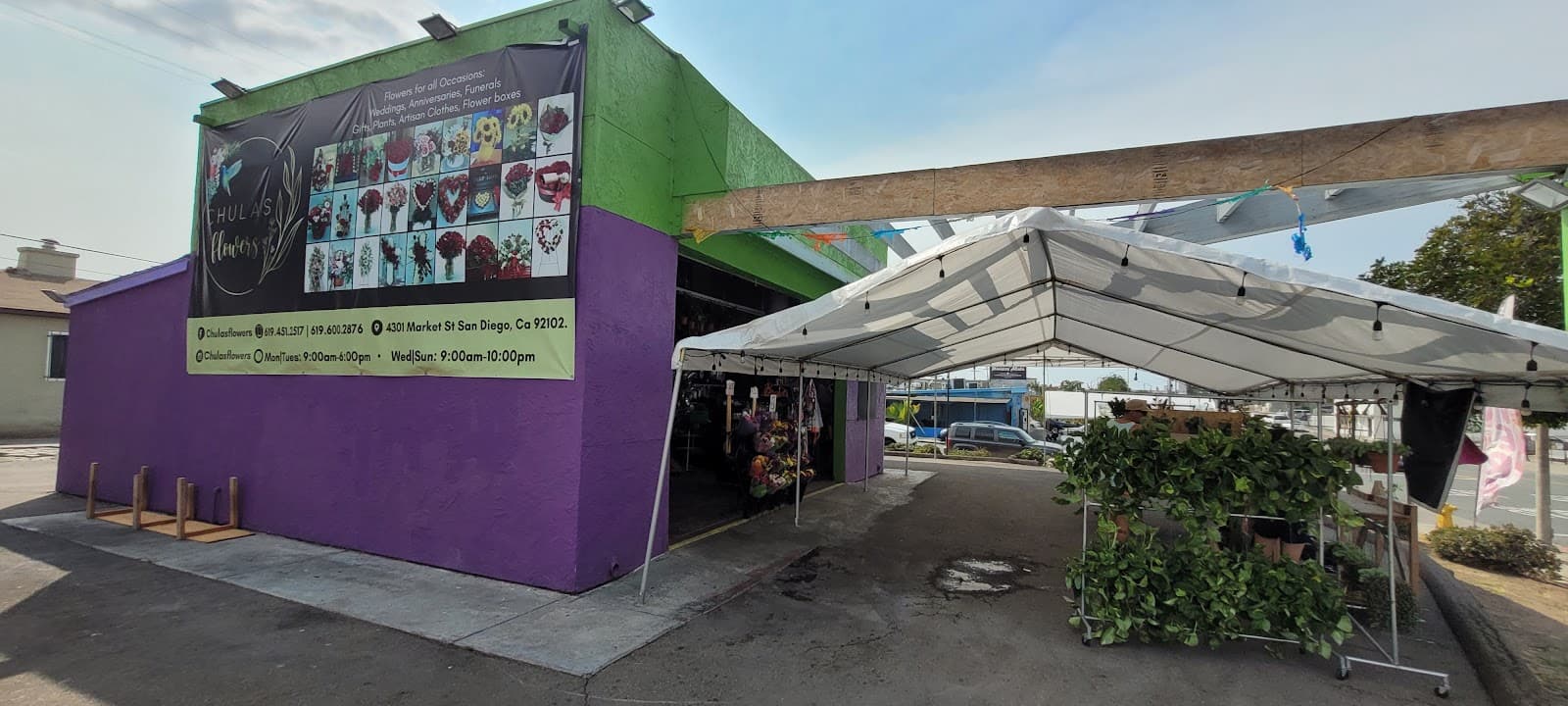 Chulas Flowers - Image 1