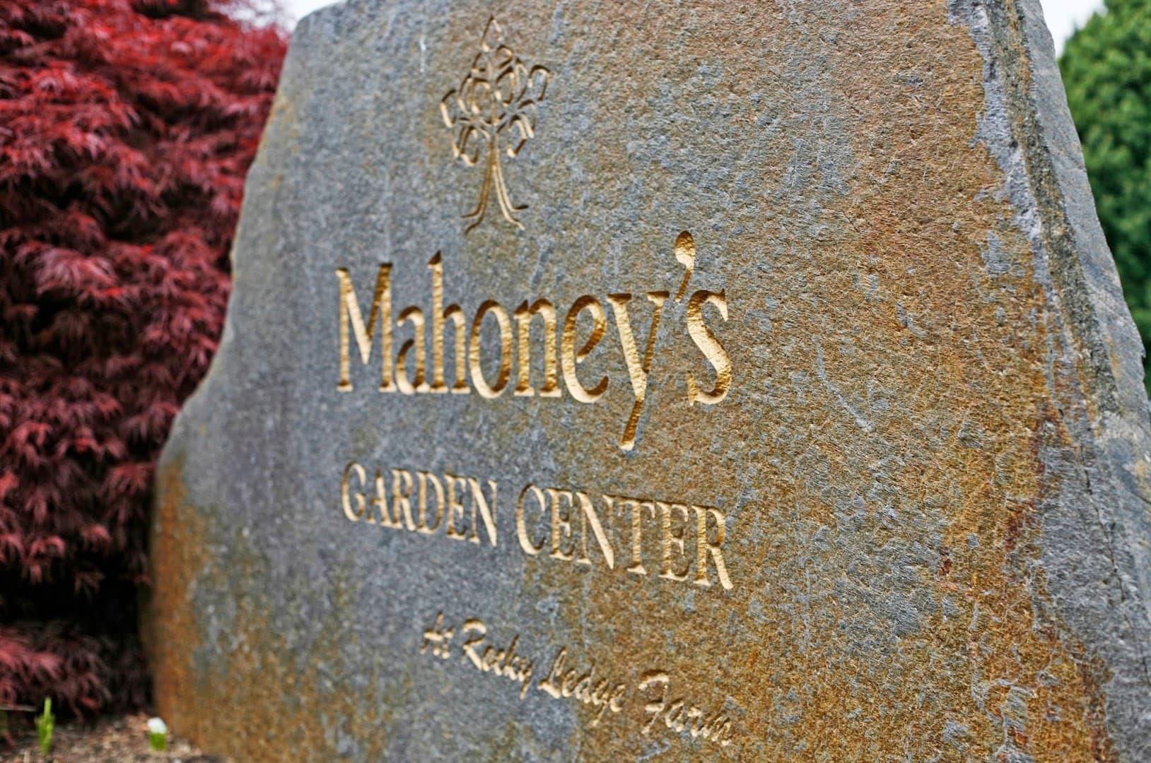 Mahoney's Garden Center - Image 1