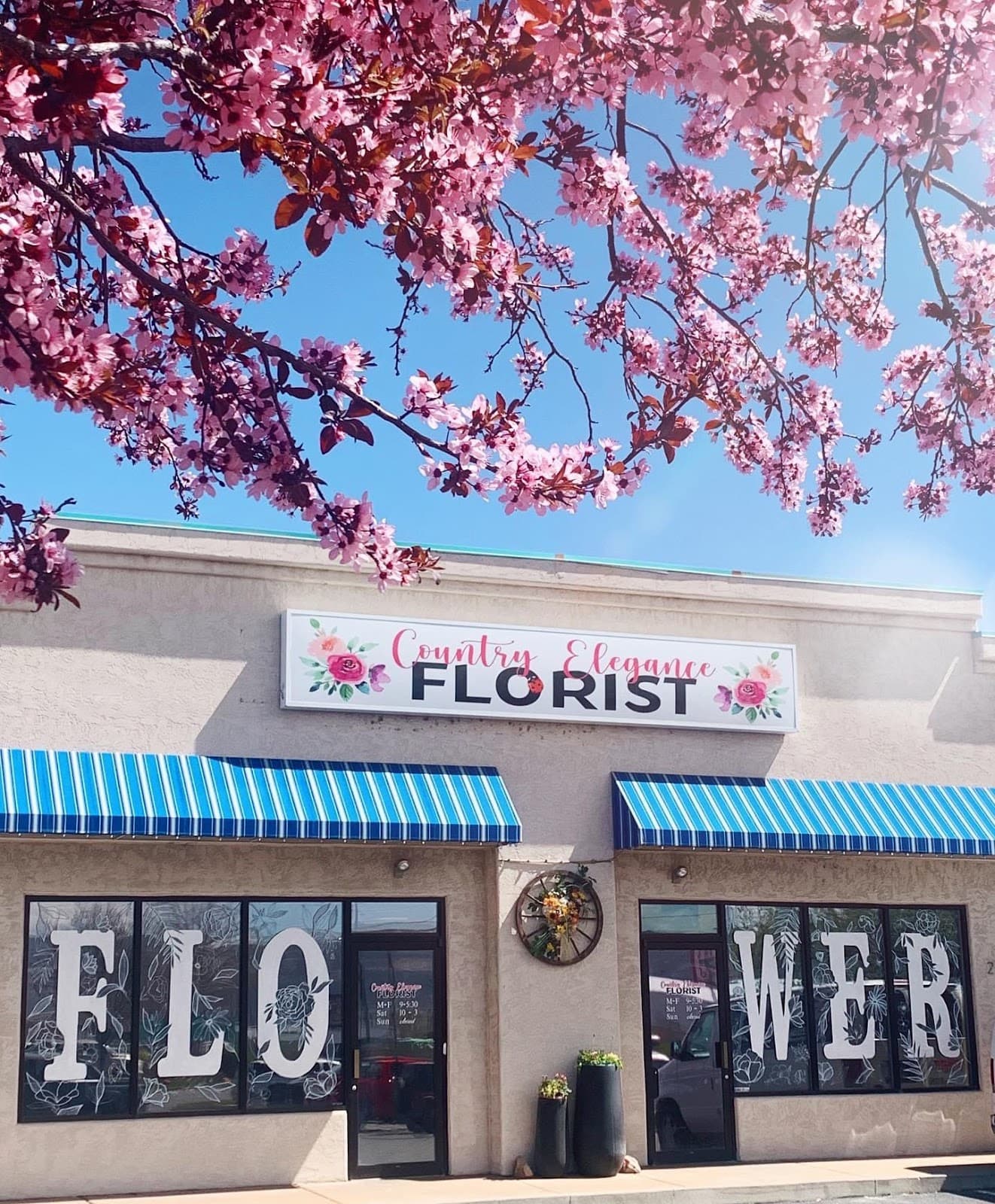 Country Elegance Florist - Image 1