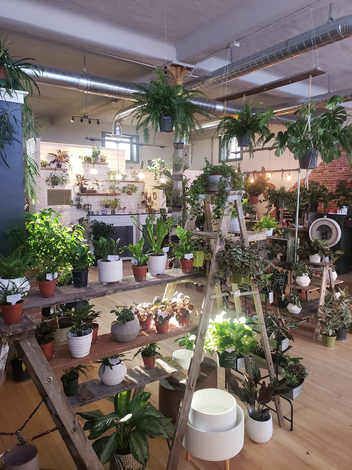 Rooted in Montana LLC. - Image 1