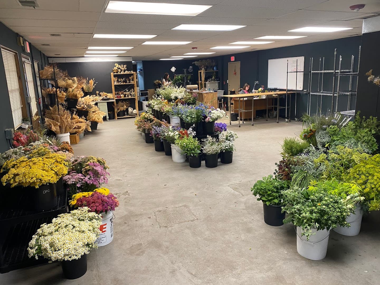 Colorado Flower Collective - Image 1