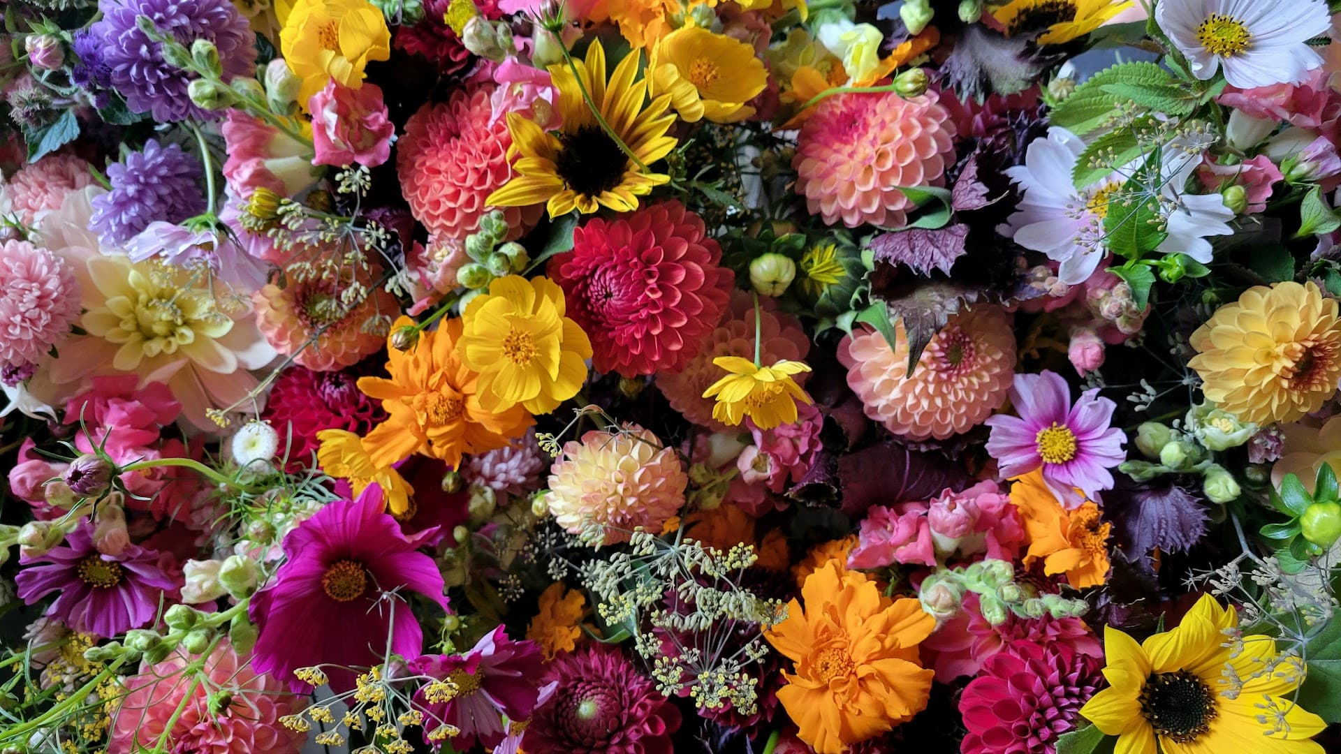 Farm Hand Farm - Image 1